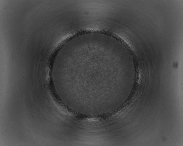 X0000091680692200708231418