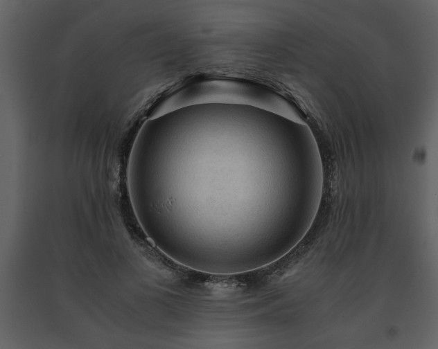 X0000091680693200708231418