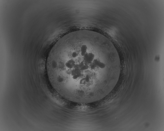 X0000091680695200708231417