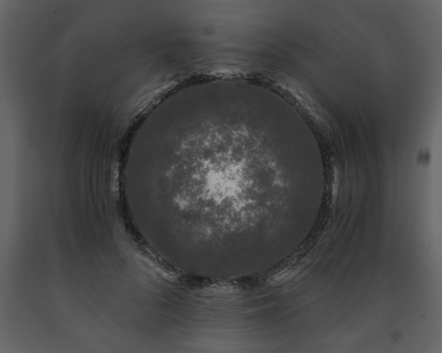 X0000091680696200708231417