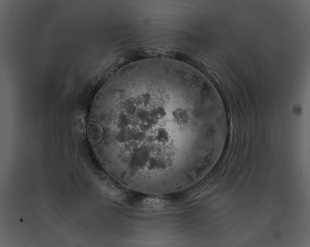 X0000091680699200708231417