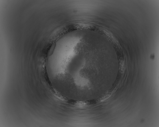 X0000091680701200708231417
