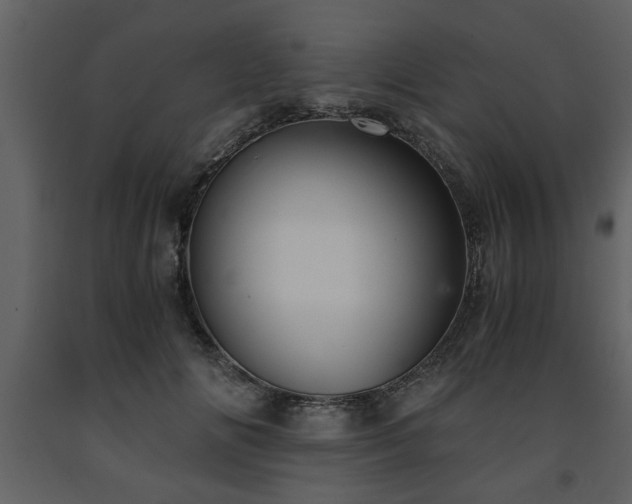 X0000091680702200708231417