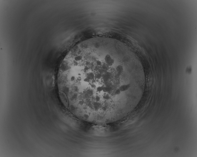 X0000091680703200708231417