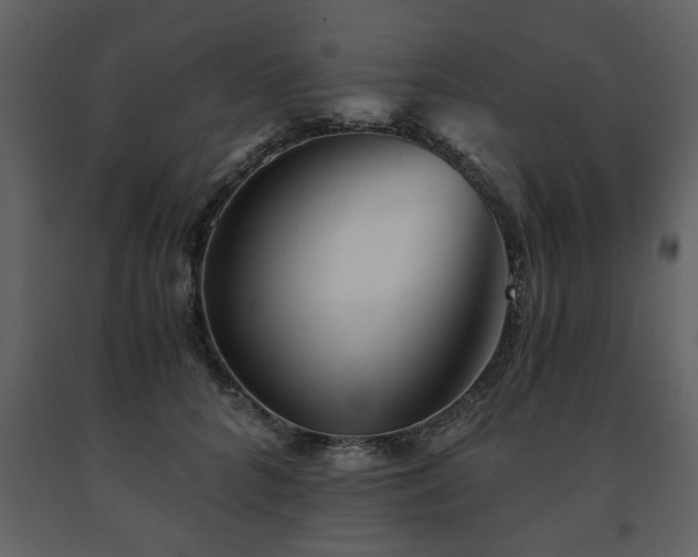 X0000091680704200708231417