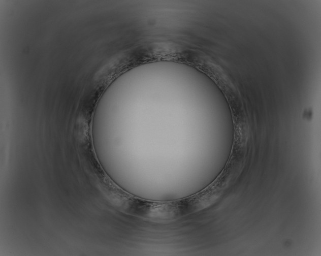 X0000091680705200708231417