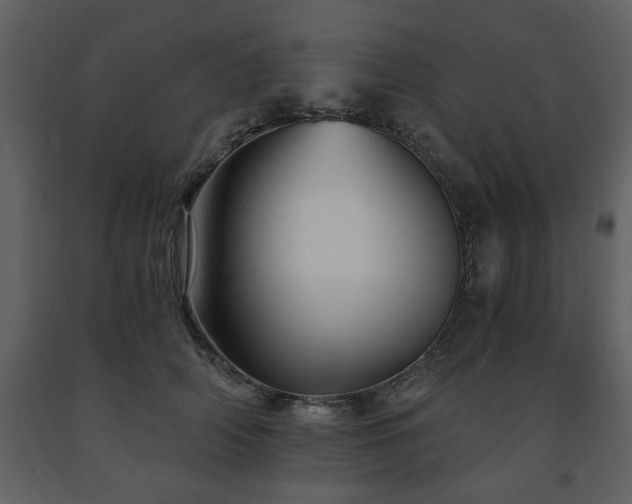 X0000091680706200708231417