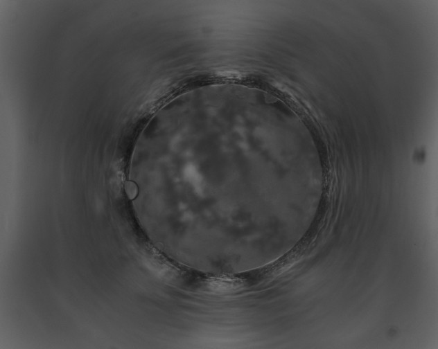 X0000091680707200708231417