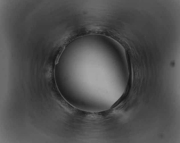 X0000091680708200708231417