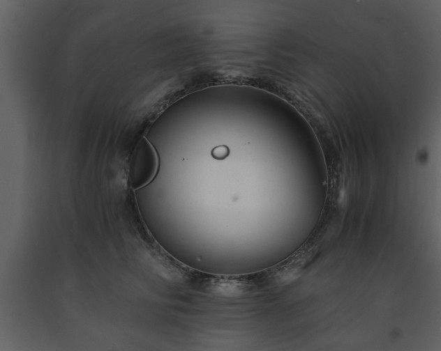 X0000091680710200708231417
