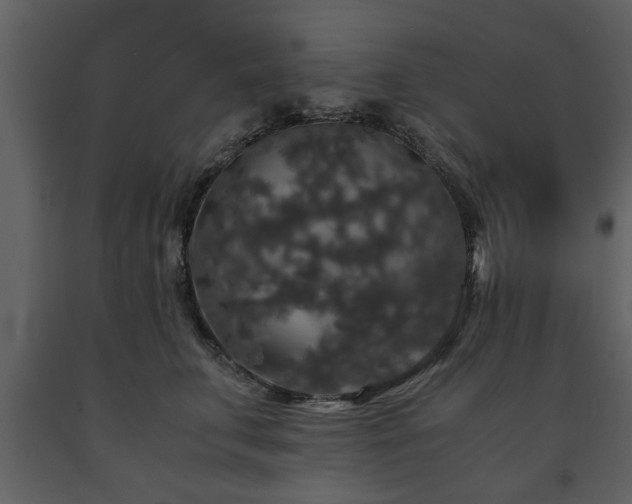 X0000091680711200708231417