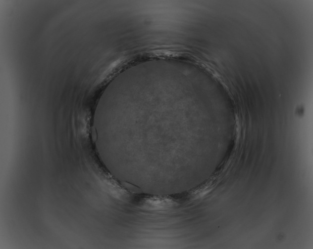 X0000091680712200708231417