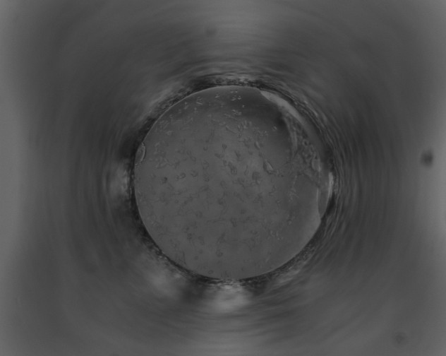 X0000091680715200708231417