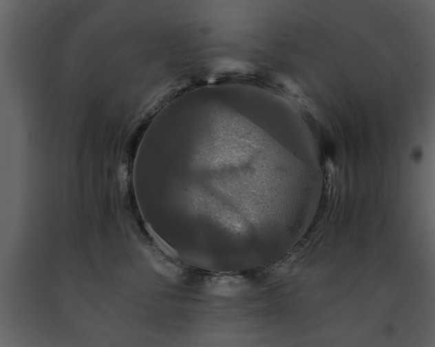 X0000091680716200708231417