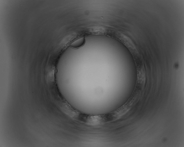X0000091680717200708231417
