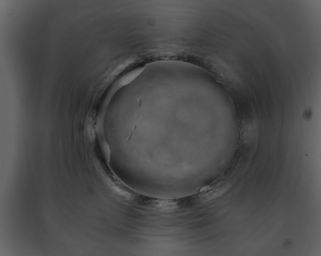 X0000091680719200708231417