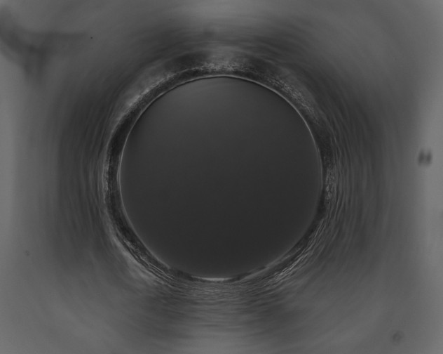 X0000091680722200708231416