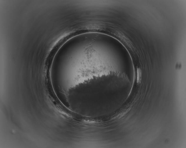 X0000091680723200708231416