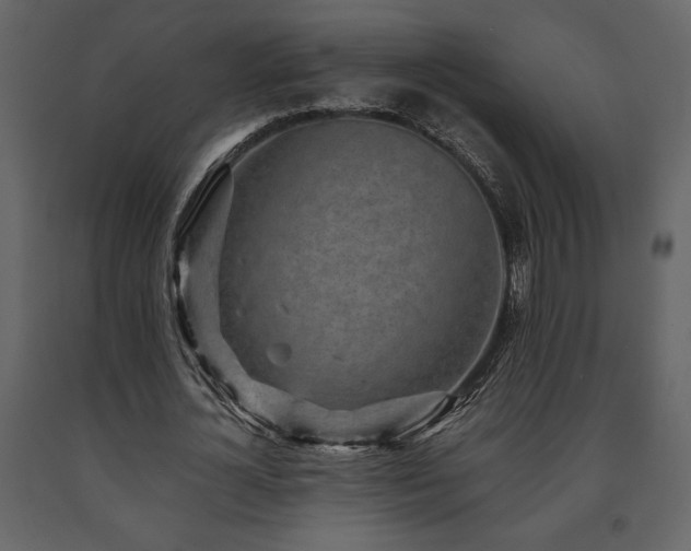 X0000091680724200708231416