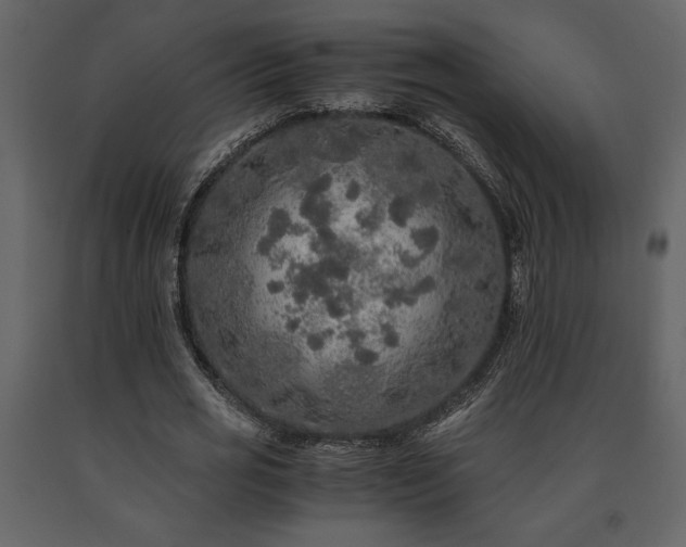 X0000091680725200708231416