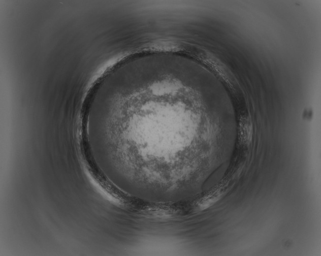 X0000091680726200708231416