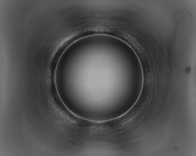 X0000091680727200708231416