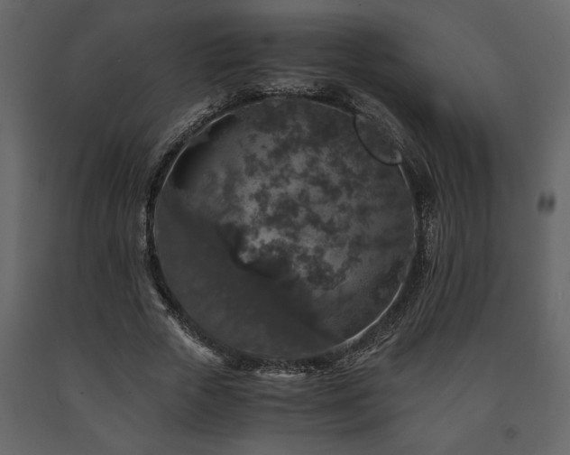 X0000091680729200708231416