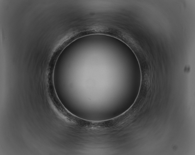 X0000091680730200708231416