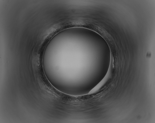 X0000091680731200708231416