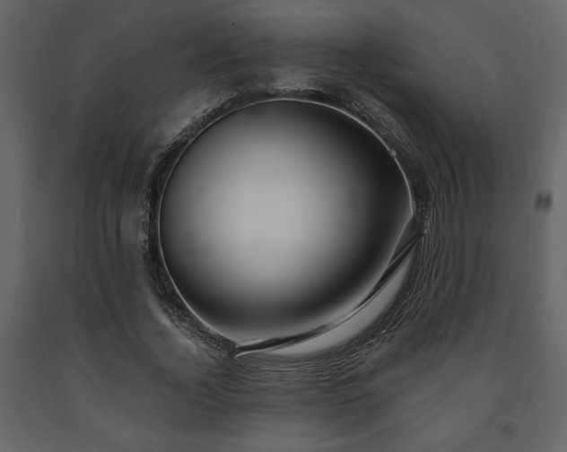 X0000091680732200708231416