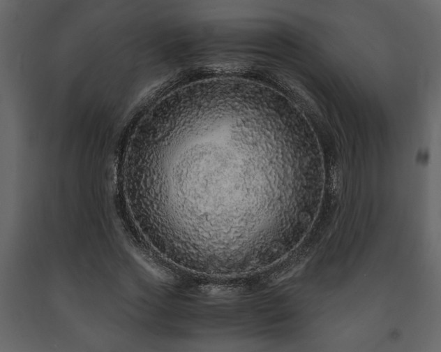 X0000091680733200708231416
