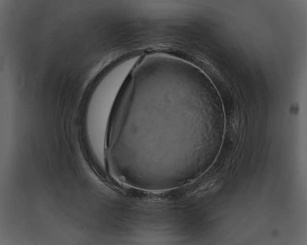 X0000091680734200708231416
