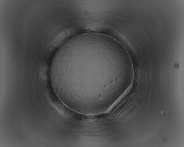 X0000091680738200708231417