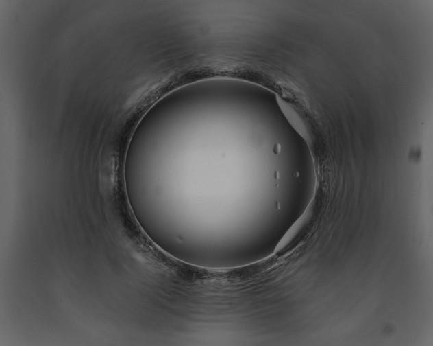 X0000091680740200708231417