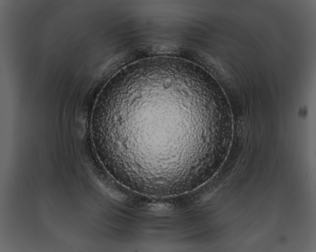 X0000091680741200708231417