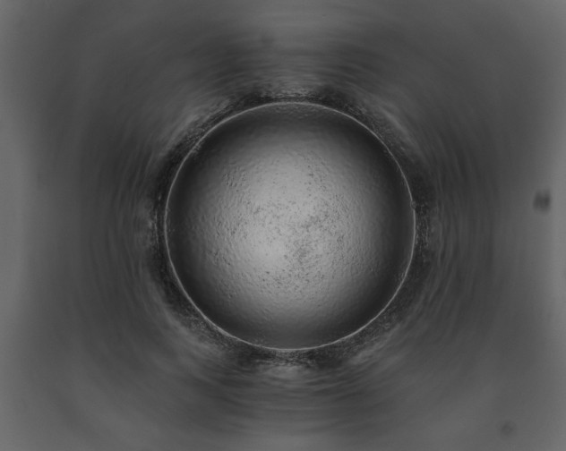 X0000091680743200708231417