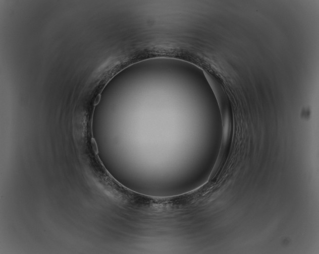 X0000091680744200708231417