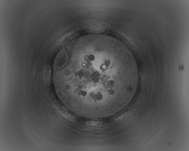 X0000091680745200708231417