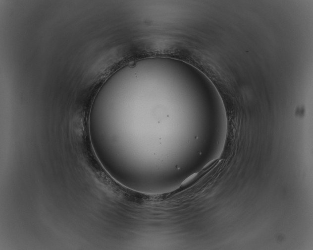 X0000091680746200708231417