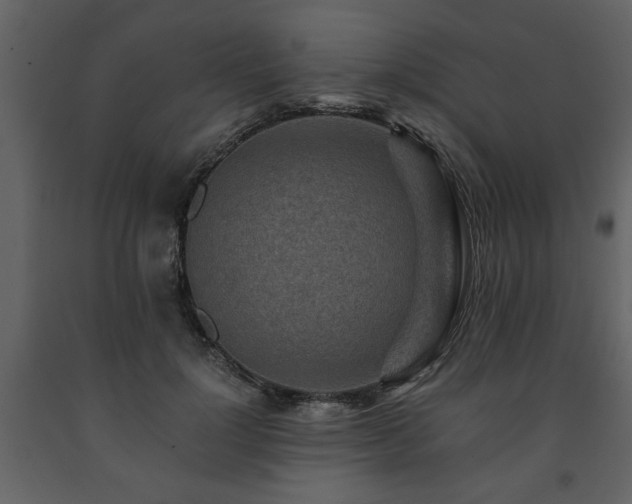 X0000091680748200708231417