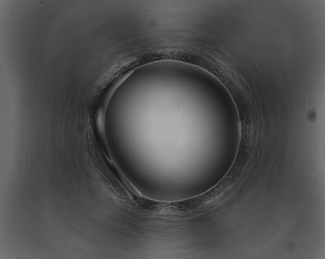 X0000091680750200708231417