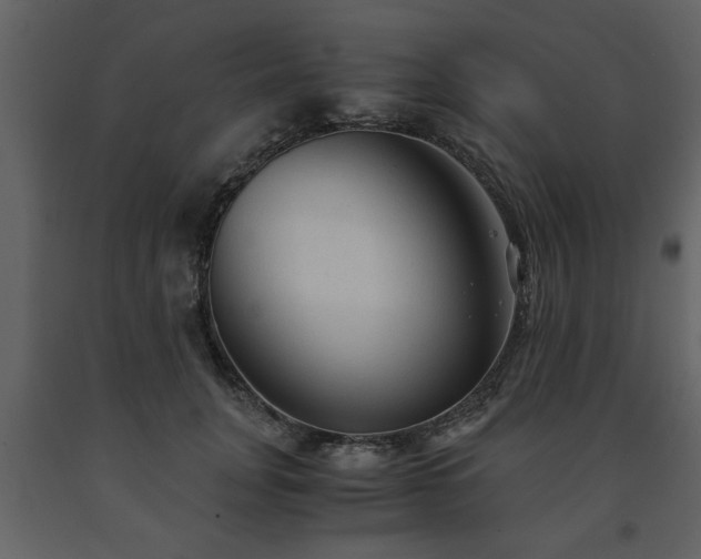 X0000091680751200708231417