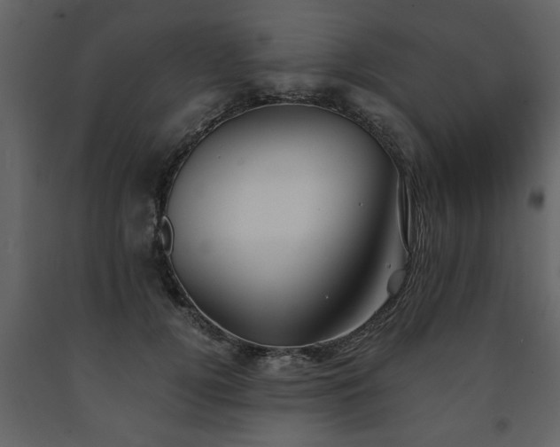 X0000091680752200708231417