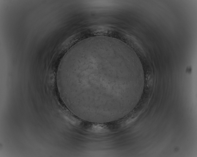 X0000091680753200708231417