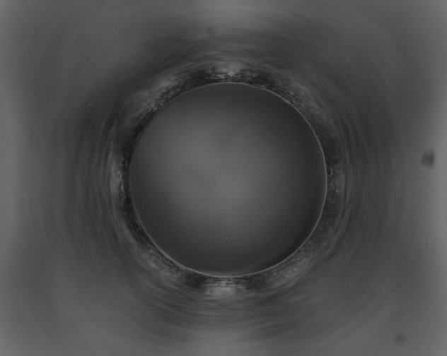 X0000091680754200708231417