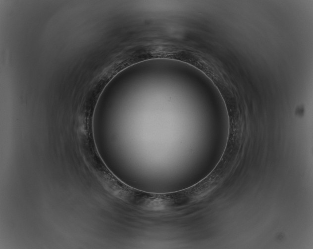 X0000091680755200708231417