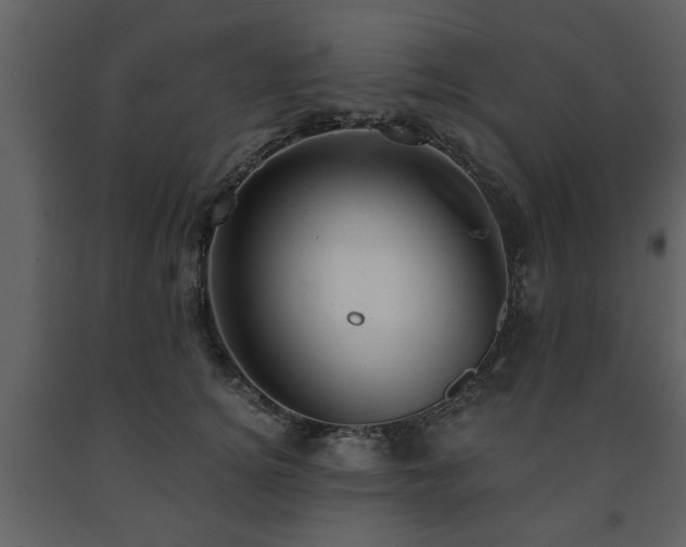 X0000091680756200708231417