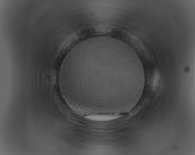 X0000091680758200708231417