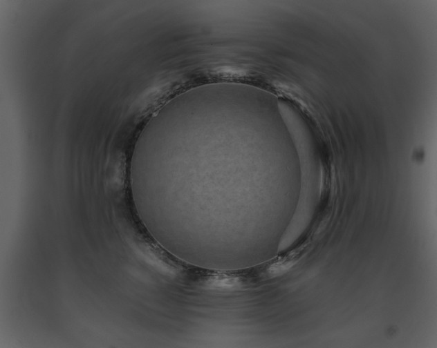 X0000091680760200708231417