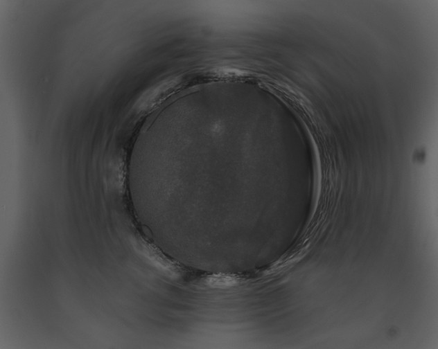 X0000091680762200708231417